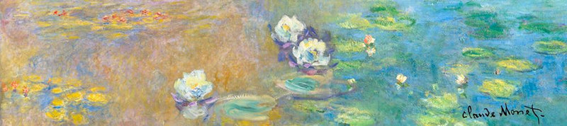 Afbeelding laden in galerijviewer, Brillygv2 muziekje: monet nympheas. (la