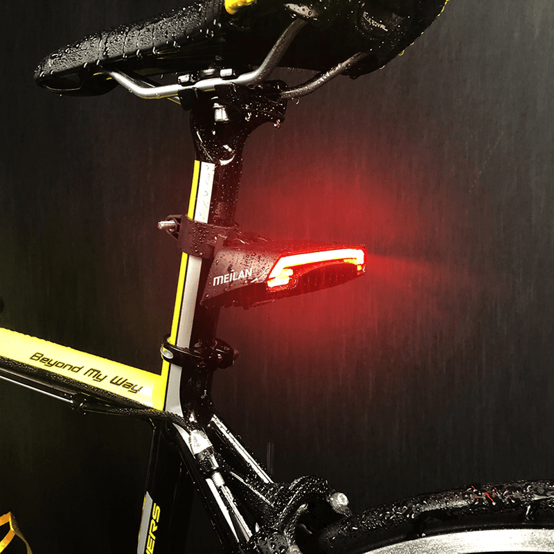 Afbeelding laden in galerijviewer, Meilan laser achterlicht met afstandbediening usb x5