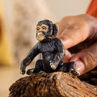 Afbeelding laden in galerijviewer, Imp schleich 14884 chanzee cub | 5 stuks
