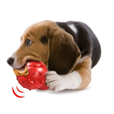 Afbeelding laden in galerijviewer, Nylabone Strong rubber cone baconsmaak