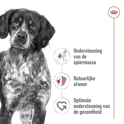 Afbeelding laden in galerijviewer, Royal canin medium adult