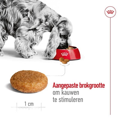 Afbeelding laden in galerijviewer, Royal canin medium adult