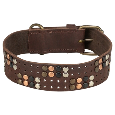 Afbeelding laden in galerijviewer, Trixie halsband hond rivet rustic vetleer donkerbruin