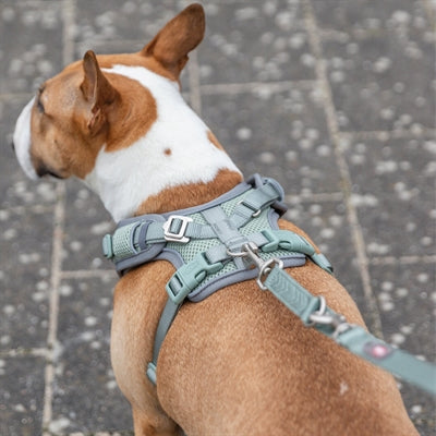 Afbeelding laden in galerijviewer, Trixie hondentuig premium flexmesh brede borst saliegroen