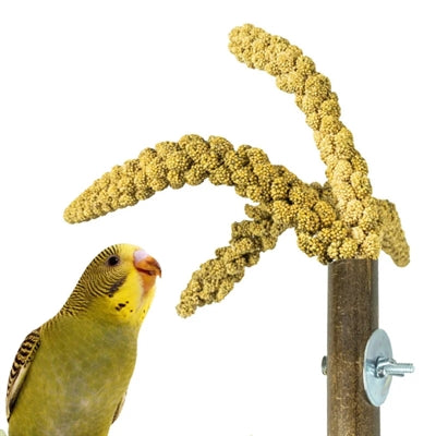 Afbeelding laden in galerijviewer, Back zoo nature grass keeper
