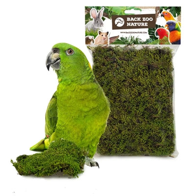 Afbeelding laden in galerijviewer, Back zoo nature forest moss