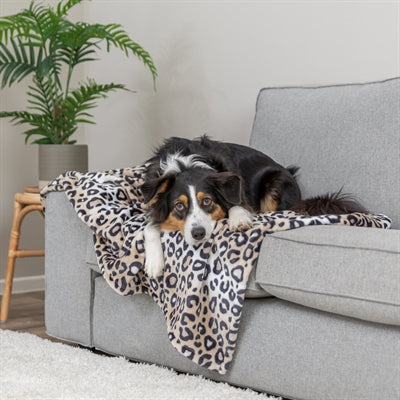Afbeelding laden in galerijviewer, Trixie hondendeken leo softpluche panterprint creme