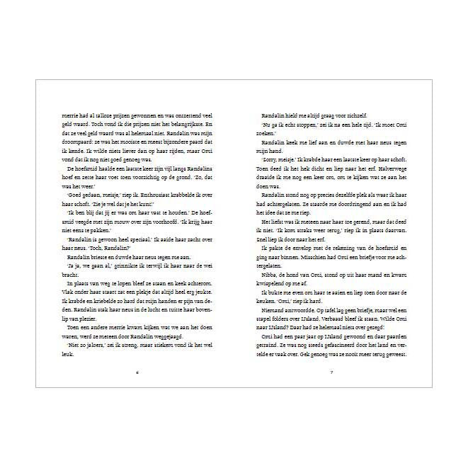 Afbeelding laden in galerijviewer, Uitgeverij kluitman het laatste geheim