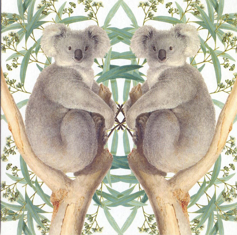 Afbeelding laden in galerijviewer, Kaart+envelop koalaberen. 16x16 cm
