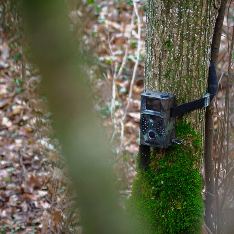Afbeelding laden in galerijviewer, Braun Wildcamera Black300