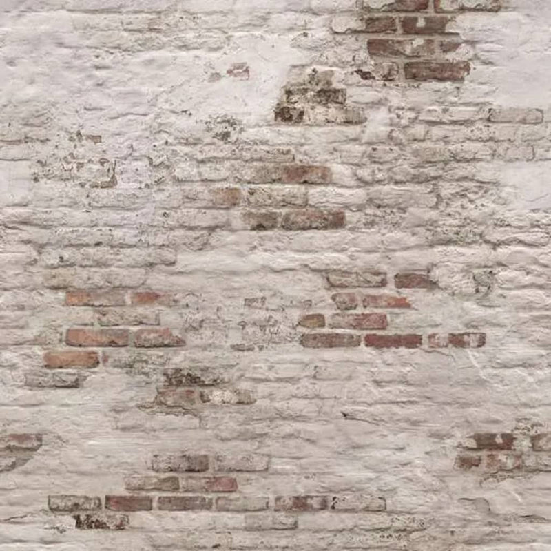 Afbeelding laden in galerijviewer, Dutch wallcoverings dutch wallcoverings fotobehang old brick wall beige bruin