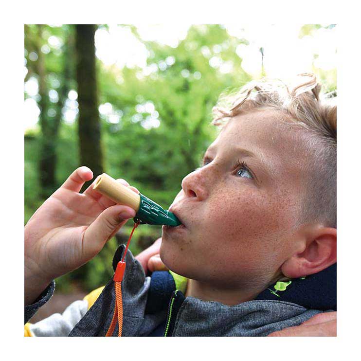 Afbeelding laden in galerijviewer, Hape naturdetektiv-set
