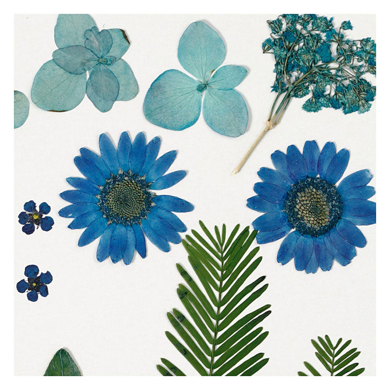 Afbeelding laden in galerijviewer, Creativ company gedroogde bloemen en bladeren blauw, 19dlg.