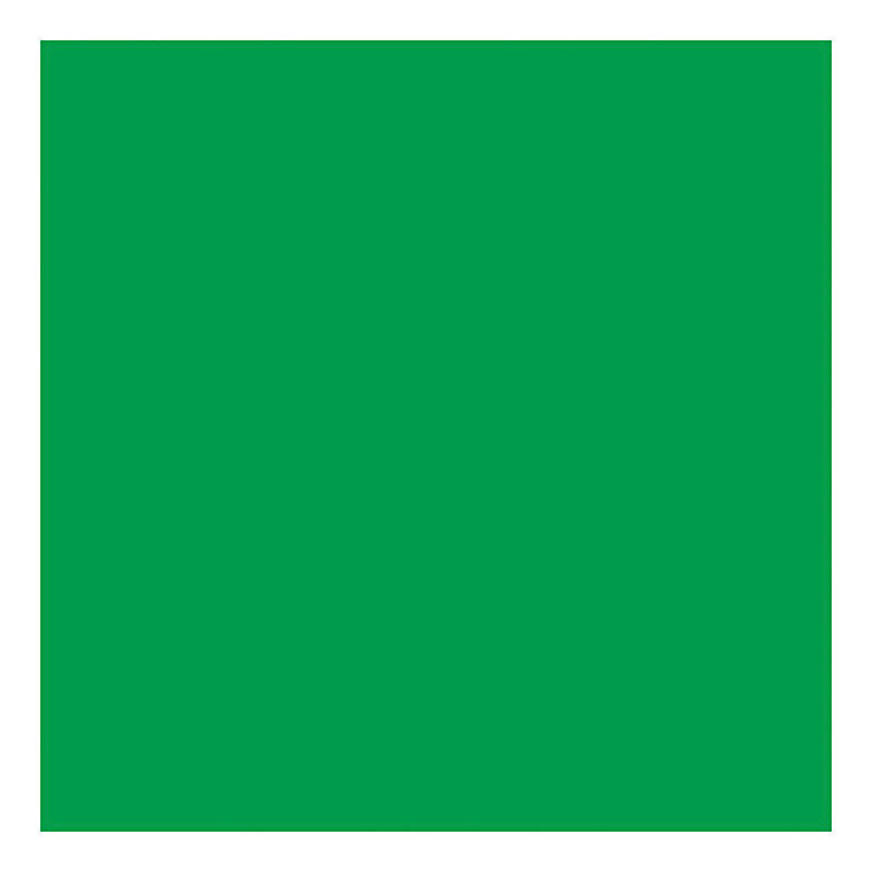Afbeelding laden in galerijviewer, Creativ company gekleurd karton gras groen 270gr, 100 vellen