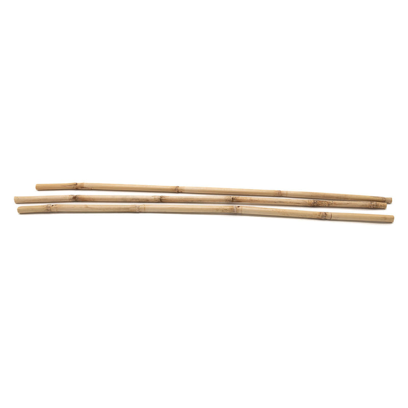 Afbeelding laden in galerijviewer, Colorations - bamboestokken 50cm, 3st.