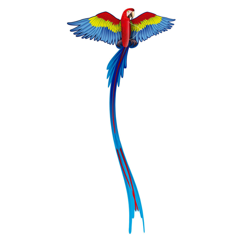 Afbeelding laden in galerijviewer, Kites ready 2 fly - pop-up 3d vlieger papegaai