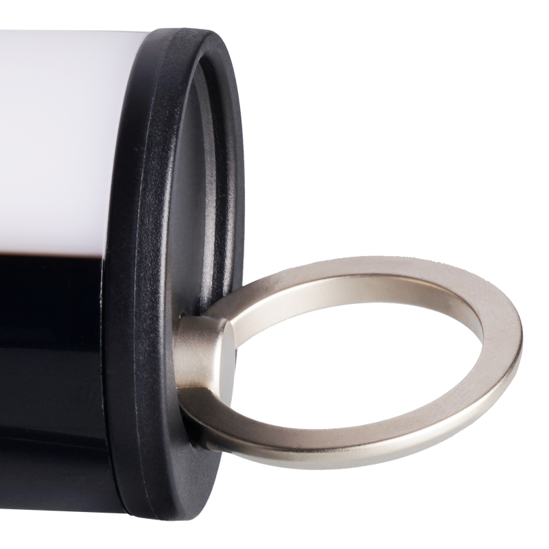 Afbeelding laden in galerijviewer, Sirui led tubelight t60 telescopisch met mini statief