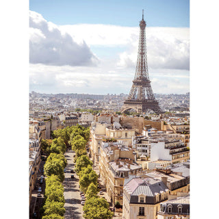 Afbeelding laden in galerijviewer, Ravensburger paris puzzle - 2 x 500 stuks