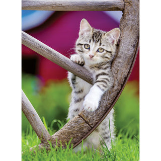 Afbeelding laden in galerijviewer, Ravensburger puzzel poezen 2 x 500 stukjes