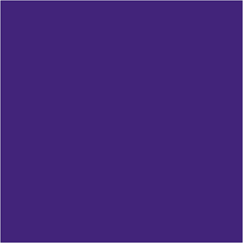 Afbeelding laden in galerijviewer, Https: www.cchobby.nl tempera-verf-mat-violet-1000-ml-1-fles