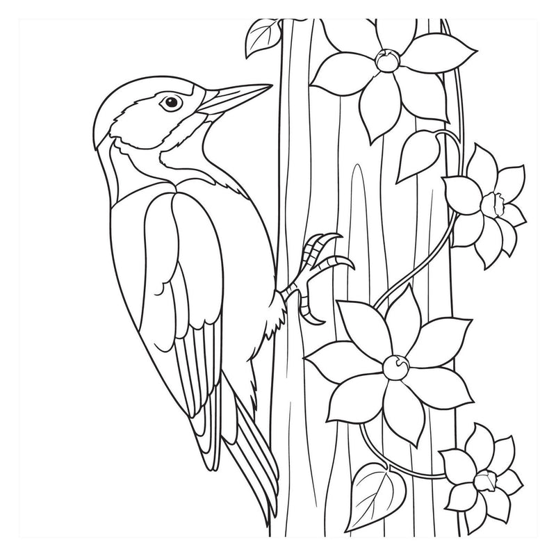 Afbeelding laden in galerijviewer, Kleurboek - birds nieuw