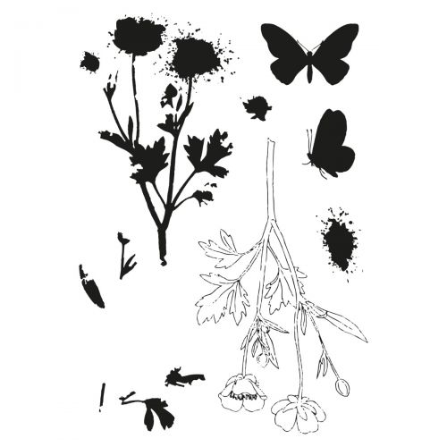 Afbeelding laden in galerijviewer, Sizzix • clear stamps set a5 with framelits die painted pencil botanical