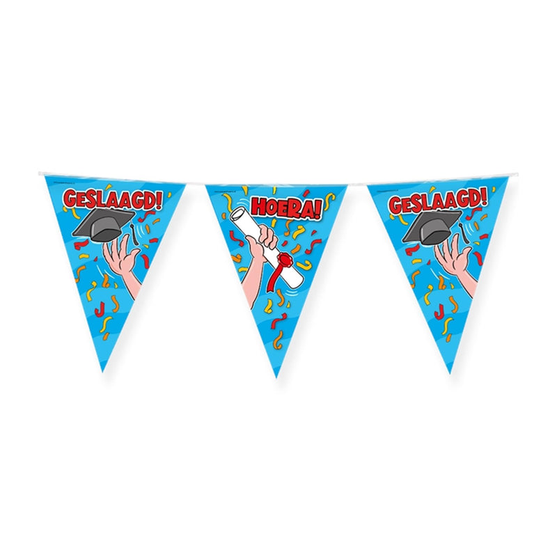 Afbeelding laden in galerijviewer, Paperdreams party vlag - geslaagd school cartoon