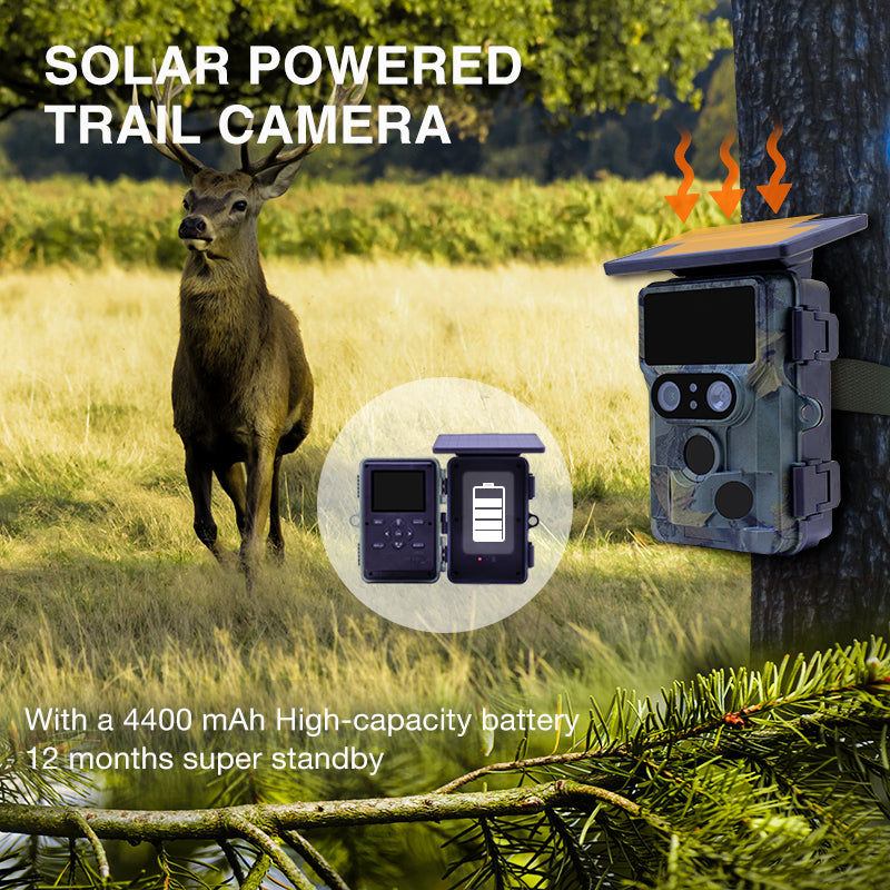 Afbeelding laden in galerijviewer, Stealth gear nightjar dual-cam solar 4k wifi wildcamera