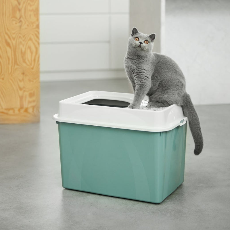 Afbeelding laden in galerijviewer, Rotho eco berty kattenbak met boveningang groen zand