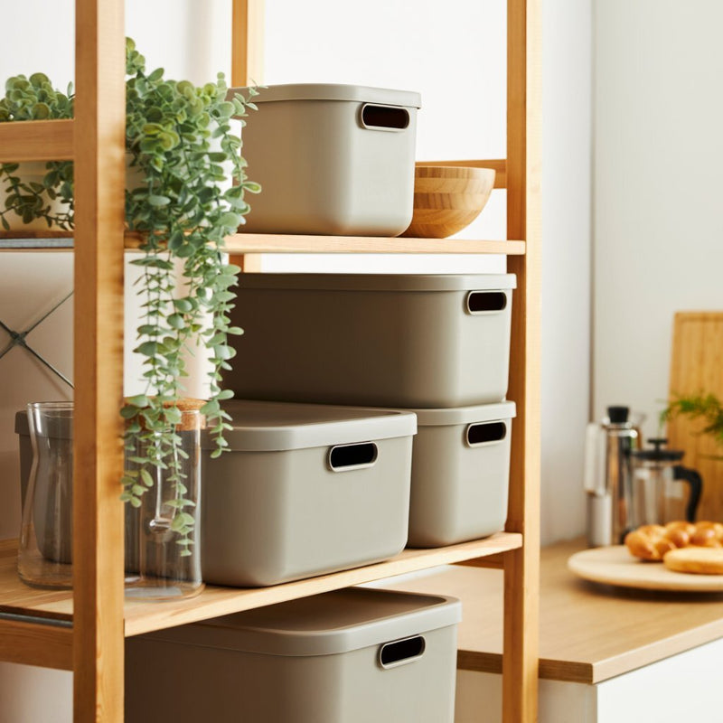 Afbeelding laden in galerijviewer, Rotho albula multibox 55l cappuccino