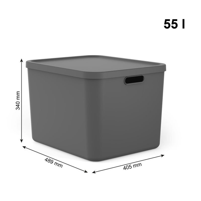 Afbeelding laden in galerijviewer, Rotho albula multibox 55l antraciet