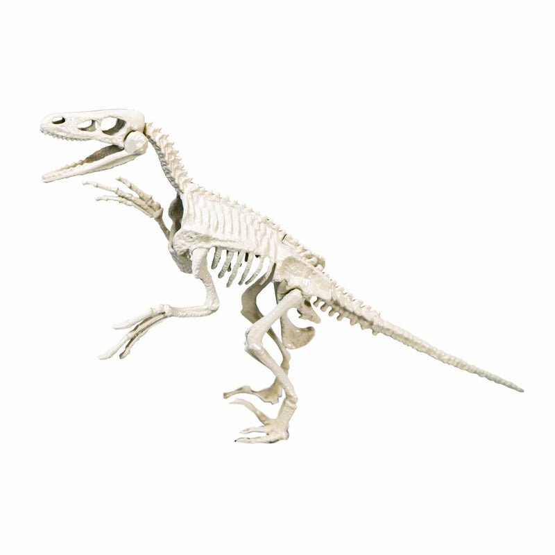 Afbeelding laden in galerijviewer, Clementoni Wetenschap Spel Archeospel Velociraptor
