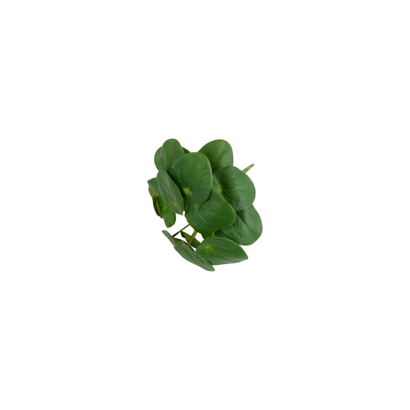 Afbeelding laden in galerijviewer, Countryfield kunstplant pilea 22x22xh25cm