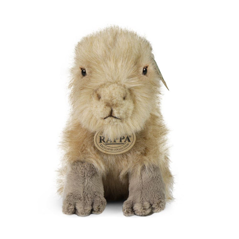 Afbeelding laden in galerijviewer, Pluche capybara 18 cm eco-vriendelijk