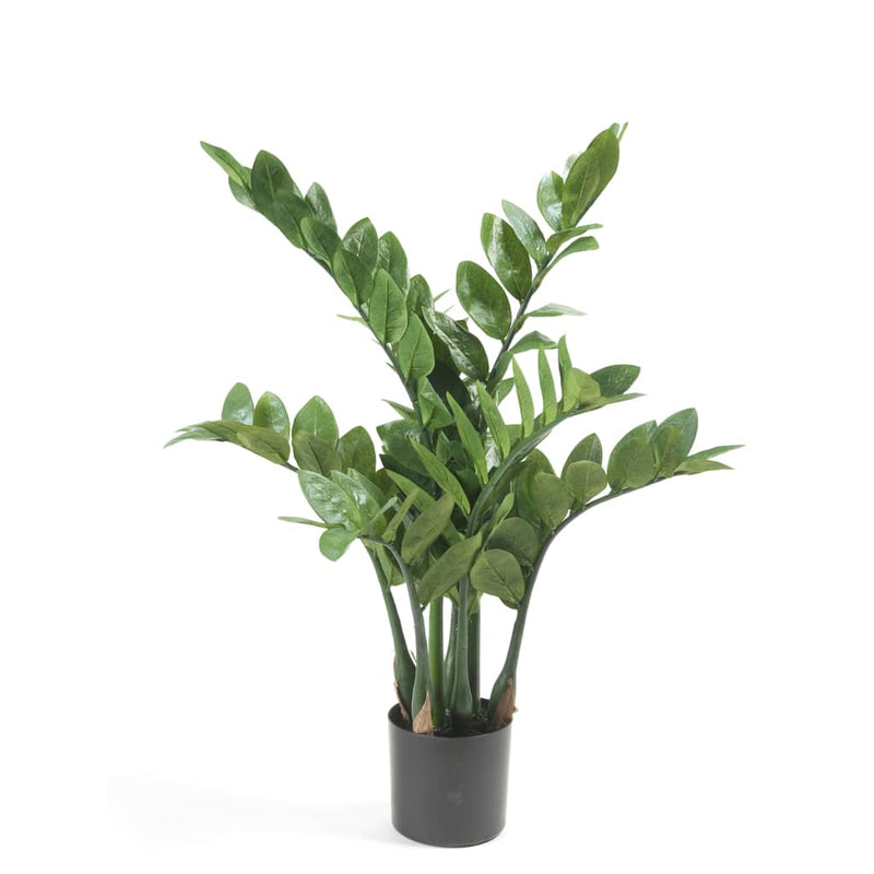 Afbeelding laden in galerijviewer, Emerald kunstplant zamioculcas 70 cm