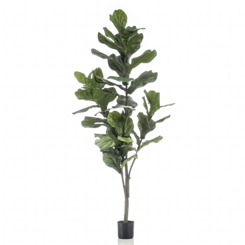 Afbeelding laden in galerijviewer, Emerald kunstplant vioolbladplant 160 cm
