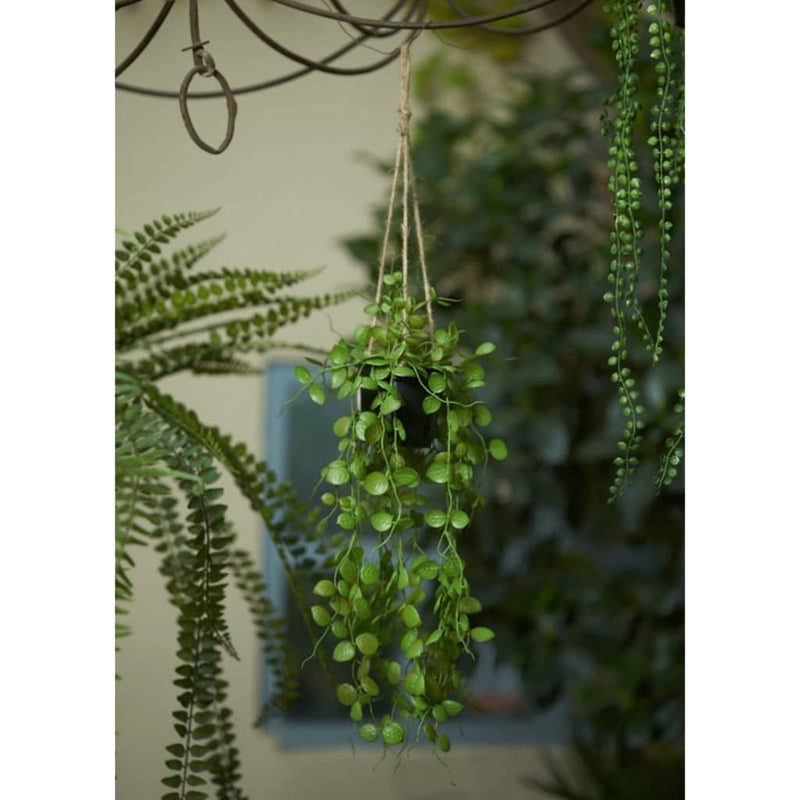 Afbeelding laden in galerijviewer, Emerald kunstplant hangend in pot lantaarnplant 50 cm