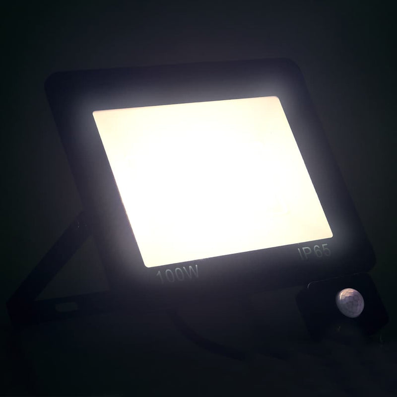 Afbeelding laden in galerijviewer, Vidaxl spotlight met sensor led 100 w koudwit