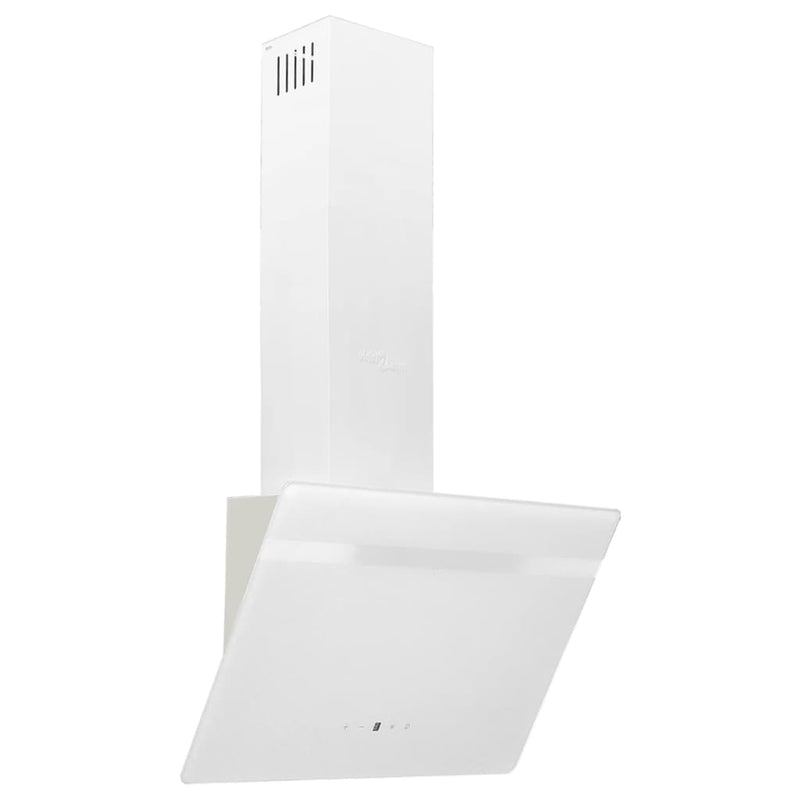 Afbeelding laden in galerijviewer, VidaXL Wandafzuigkap 60 cm staal en gehard glas wit