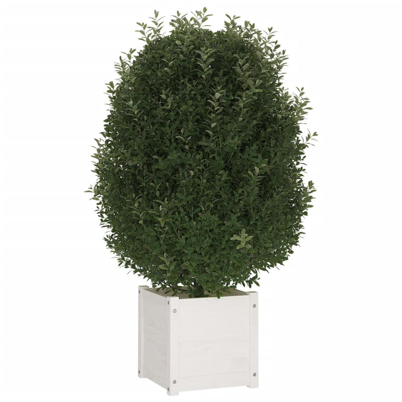 Afbeelding laden in galerijviewer, VidaXL Plantenbak 40x40x40 cm massief grenenhout wit