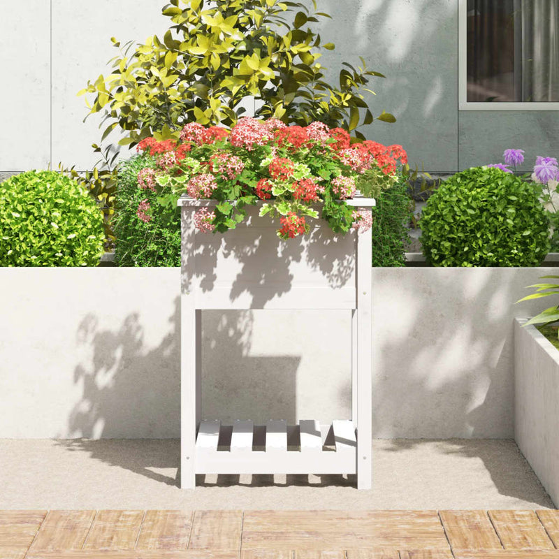 Afbeelding laden in galerijviewer, Vidaxl plantenbak met schap 54x54x81 cm massief grenenhout wit
