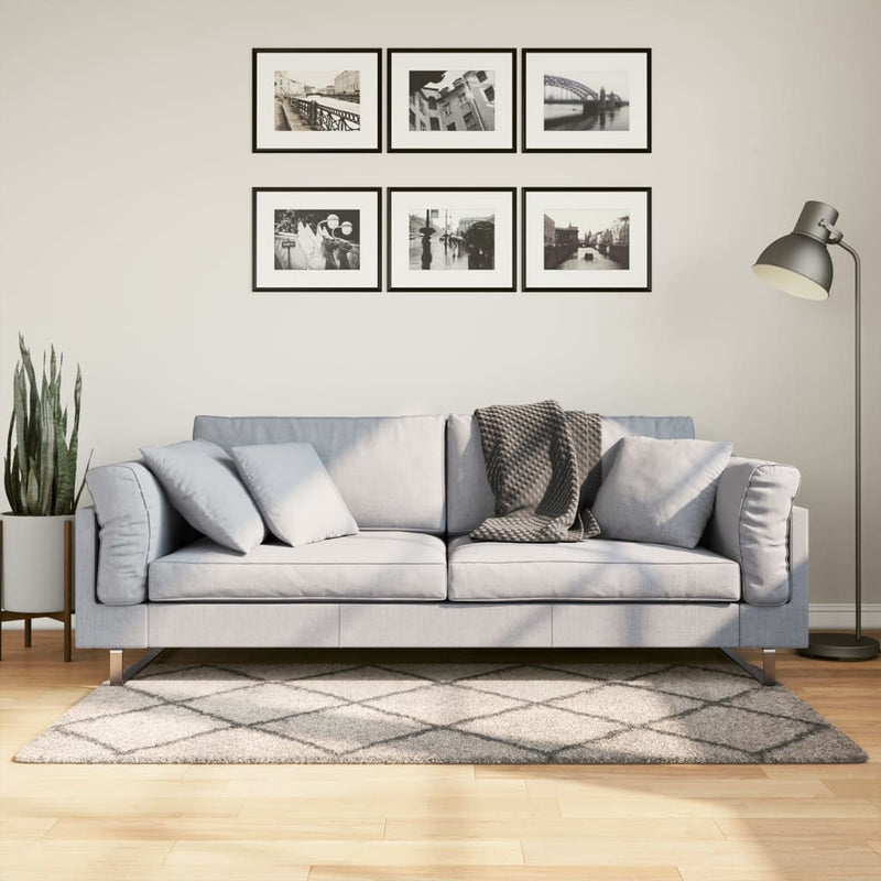 Afbeelding laden in galerijviewer, Vidaxl vloerkleed pamplona shaggy hoogpolig 80x150 cm beige antraciet