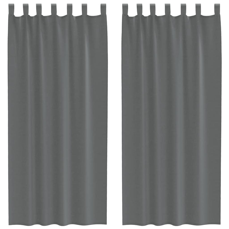 Afbeelding laden in galerijviewer, Vidaxl gordijnen voile met lussen 2 st 140x245 cm donkergrijs