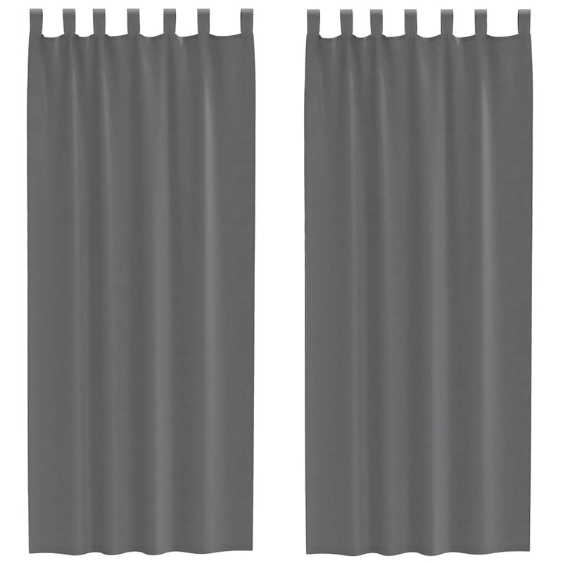 Afbeelding laden in galerijviewer, Vidaxl gordijnen voile met lussen 2 st 140x260 cm donkergrijs
