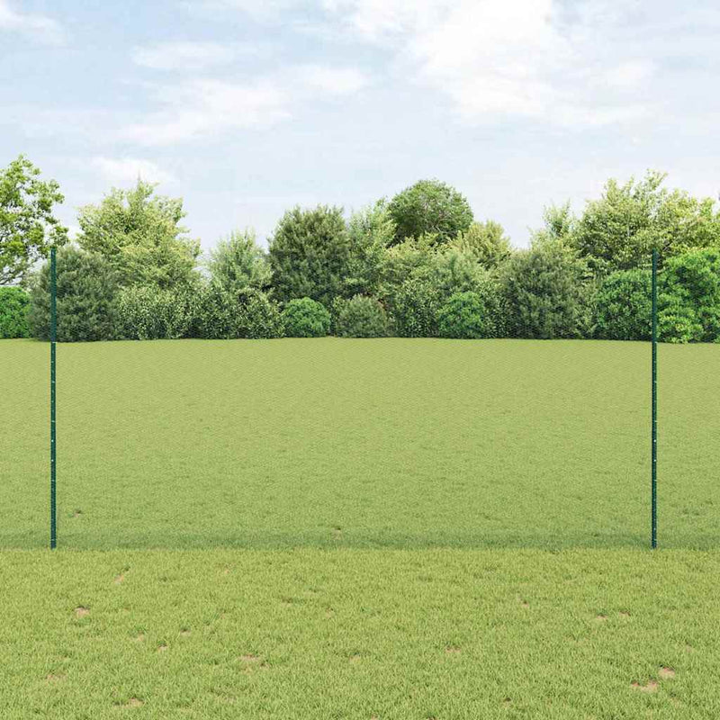 Afbeelding laden in galerijviewer, Vidaxl hek met paal groen 1,6 x 10 m staal en pvc