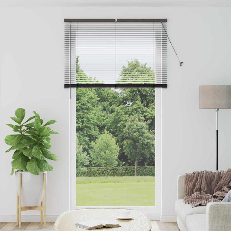 Afbeelding laden in galerijviewer, Vidaxl venetiaanse jaloezieën zwart 220 x 115 cm aluminium