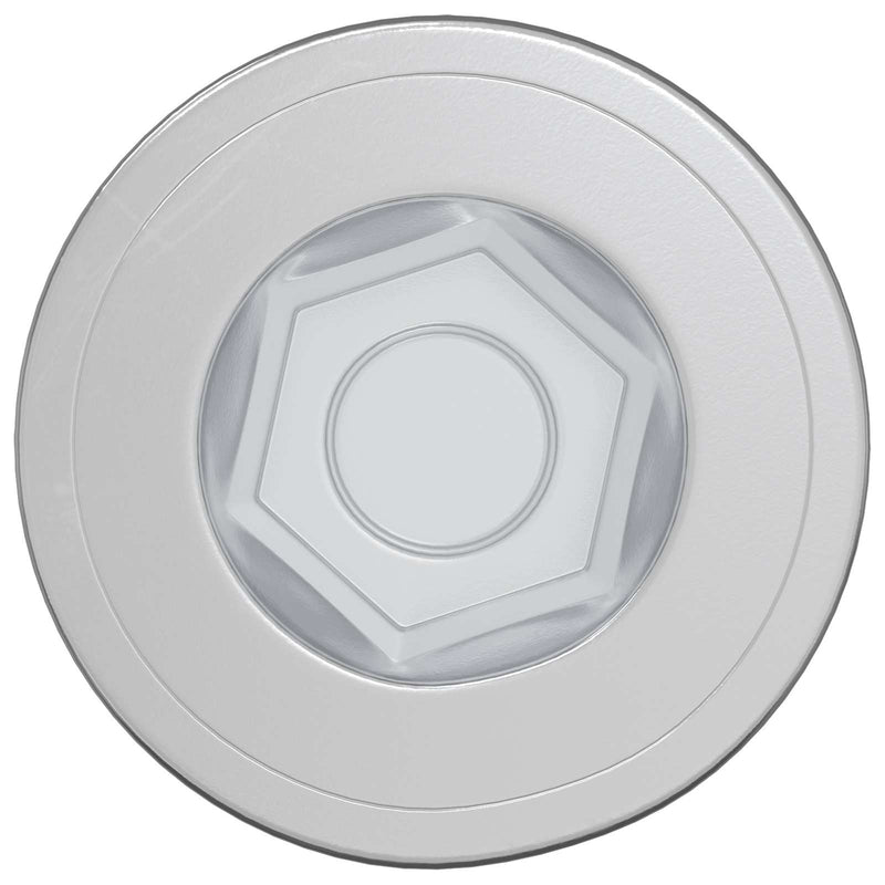 Afbeelding laden in galerijviewer, Vidaxl bevestigingsschroeven 2 pcs zilver ø7 x 58 mm metaal