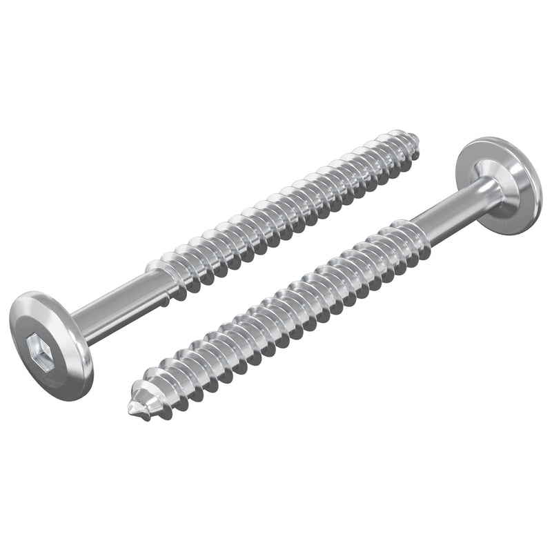 Afbeelding laden in galerijviewer, Vidaxl houten schroeven 2 pcs zilver m6 x 70 mm staal