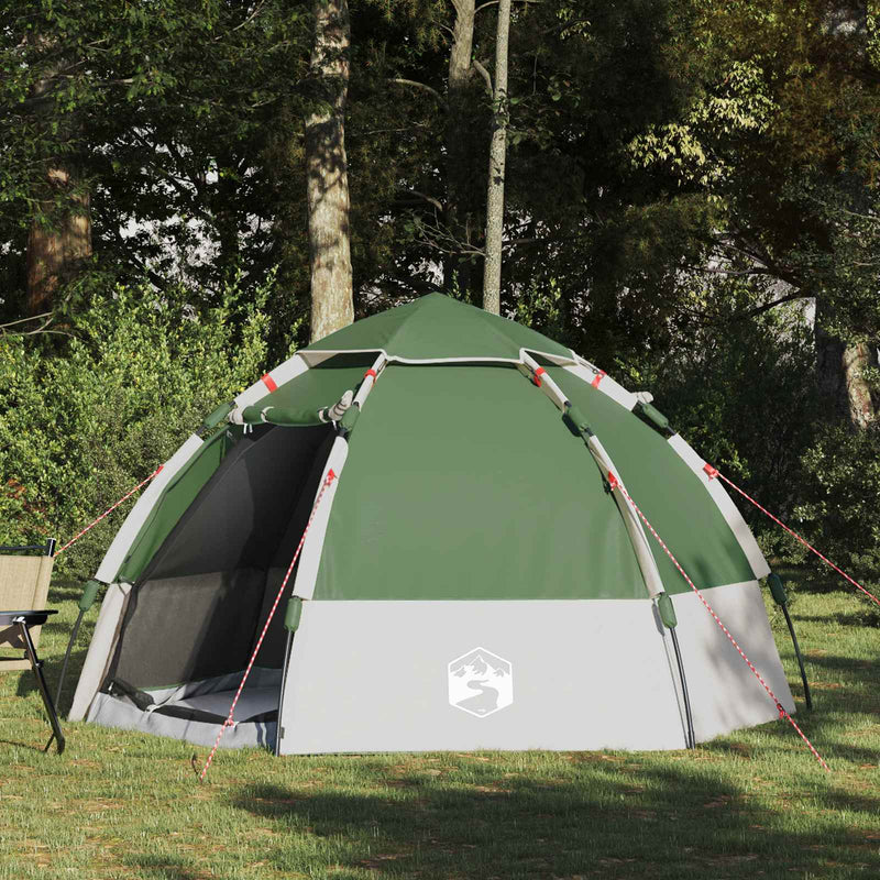 Afbeelding laden in galerijviewer, Vidaxl instant tent met regenhoes voor 4 personen met snelle release