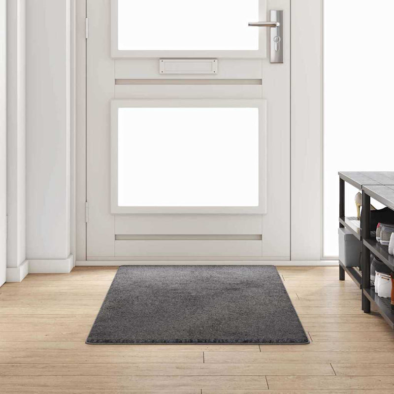 Afbeelding laden in galerijviewer, Vidaxl tapijt loper grijs 80 x 200 cm 100% polypropylene tuft
